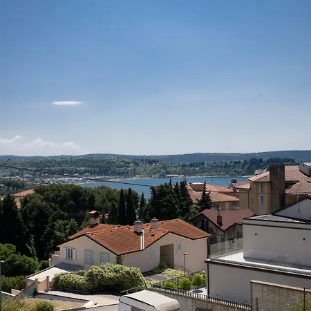 Apartmaji Vera Apartman *